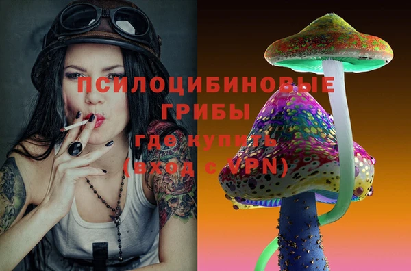 амфетамин Алексеевка