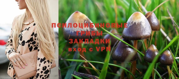 кристаллы Алзамай