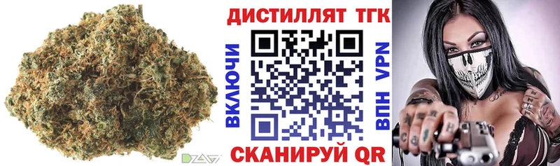 закладка Яхрома ТГК концентрат