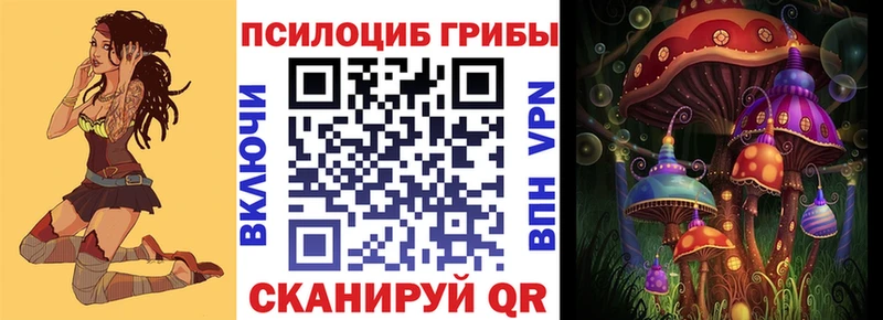 где можно купить   Яхрома  Галлюциногенные грибы Magic Shrooms 